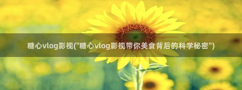 糖心出品vlog 网红：糖心vlog影视