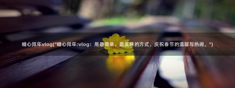 糖心vlog铃木