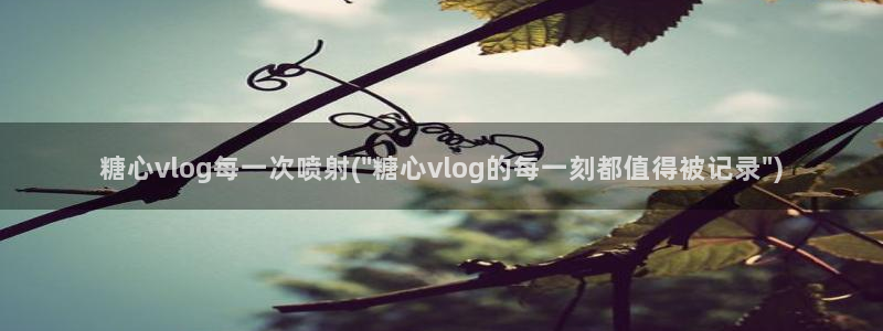 糖心vlog薇薇安