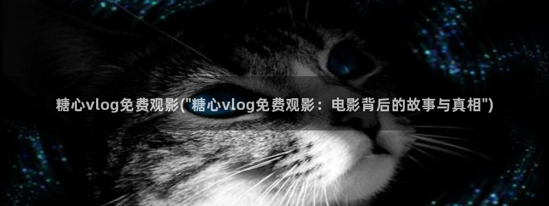 糖心vlog这么下载