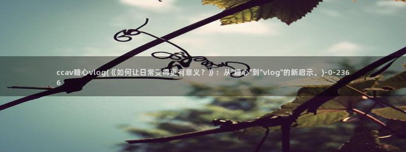糖心vlog传媒破解版