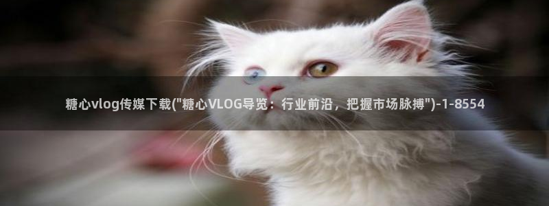糖心vlog戴口罩