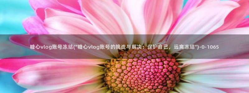 糖心vlog在校：糖心vlog账号冻结(\