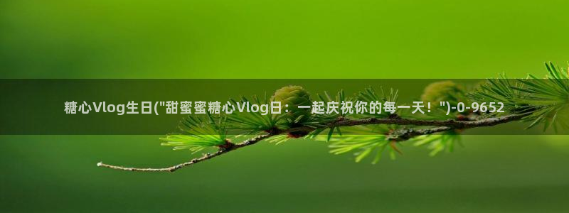 糖心vlog女友卡：糖心Vlog生日(\