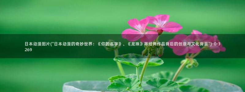 夜勤病栋动漫