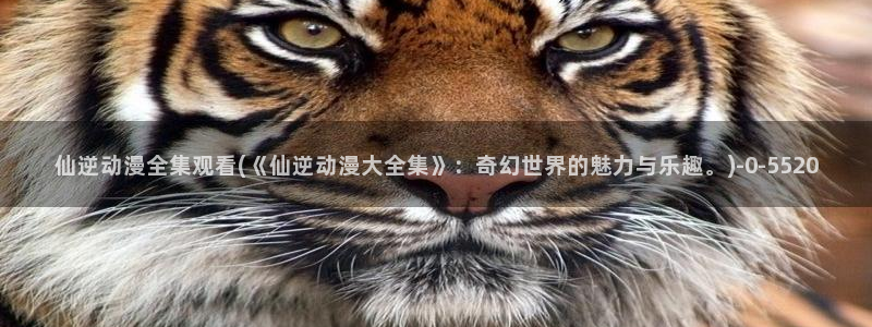 触手动漫