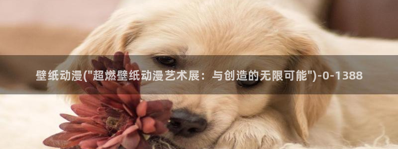 妖精动漫