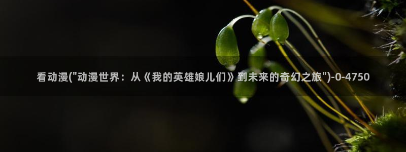 acg动漫网