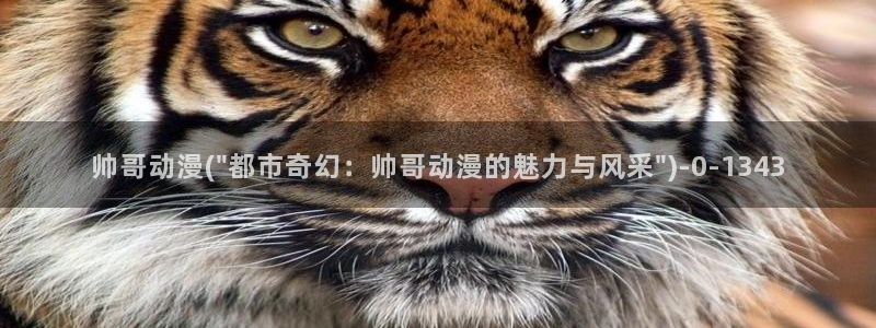 艳母动漫在线观看